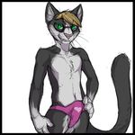  cat dog-bone eyewear feline hand_on_hip looking_at_viewer male mammal solo speedo swimsuit topless underwear 