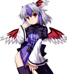  bad_id bad_pixiv_id black_legwear blue_hair bottomless brown_eyes capelet head_wings long_sleeves looking_at_viewer multicolored_hair ozaki_(ko-zaki) shirt silver_hair simple_background single_head_wing solo thighhighs tokiko_(touhou) touhou two-tone_hair white_background wide_sleeves wings 