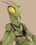  arthropod blush bra dungeons_&amp;_dragons female flat_chested insect mandibles mantis thri-kreen underwear unknown_artist 