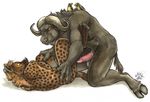  anthro avian bird black_penis blotch bovine buffalo domination duo erection gay hooves hyena interspecies legs_up lying male mammal nude on_back paws penis plain_background predator/prey_relations role_reversal spotted_hyena surprise water_buffalo white_background 