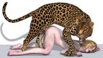  absurd_res all_fours annonymouse annoymouse ass_up bestiality blonde_hair doggystyle elf erection feline female feral from_behind green_eyes hair hi_res human human_feet human_on_feral interspecies leopard male mammal nude open_mouth penetration penis pussy sex straight young 