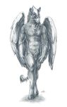  balls beak claws dreich erection greyscale gryphon knot looking_at_viewer male monochrome nude pencil penis plain_background solo standing syntarsis white_background wings 