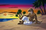  anthro beach biceps black_nose brown_fur bulge claws clothing cooner fur grin male mammal muscles mustelid otter palm_tree pawpads paws pecs pose sand sea seaside shorts sitting smile solo sun sunset toe_claws toned topless tree water white_fur 