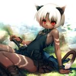  :&lt; animal_ears black_dress cat_ears cat_tail collar dark_skin dress flat_chest highres hitomaru looking_at_viewer original panties red_eyes ribbon short_hair sitting sword tail underwear weapon whiskers white_hair white_panties wrist_cuffs 