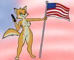  american_flag breasts canine eyewear female fox glasses gnollykins gun lt._vixen mammal patriotism pistol ranged_weapon solo squirrel_and_hedgehog weapon 