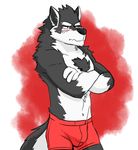  black_fur black_nose blush bulge canine chest_tuft crossed_arms frown fur genchi male mammal muscles orion_(aluminemsiren) solo topless tuft underwear white_fur wolf 