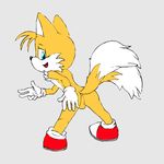  anus balls blue_eyes butt canine fox jetfrozen looking_back male mammal miles_prower plain_background pose presenting presenting_hindquarters raised_tail sega smile solo sonic_(series) spread_legs spreading 