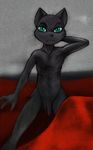  balls black_fur cat darkdoomer feline flaccid fur green_eyes looking_at_viewer male mammal miw nude penis solo 