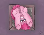  absurd_res anus blue_eyes box butt equine female feral friendship_is_magic fur hair hi_res horse looking_at_viewer mammal my_little_pony nude pink_fur pink_hair pinkie_pie_(mlp) plain_background pony presenting pussy smile solo tasteful-clopper upside_down 