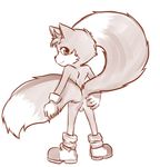  anus aogami balls butt canine fox fox_tail looking_at_viewer looking_back male mammal miles_prower multiple_tails plain_background presenting presenting_hindquarters sega solo sonic_(series) tails tycloud young 