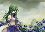  cloud cloudy_sky detached_sleeves flower frown green_hair hydrangea kochiya_sanae leaf long_hair looking_down melone_(melonenbrot) midriff profile skirt sky snake solo touhou vest yellow_eyes 