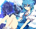  bad_id bad_pixiv_id blue_eyes blue_flower blue_hair blue_rose bow cirno dress esupii_(reireihouhime) flower frown hair_bow highres petals puffy_sleeves rose solo touhou 