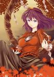  blouse breasts brown_background cup indian_style knee_up kz_nagomiya leaf long_sleeves looking_at_viewer maple_leaf medium_breasts mirror puffy_sleeves purple_eyes purple_hair rope sakazuki shide shimenawa short_hair short_over_long_sleeves short_sleeves sitting skirt solo touhou wind yasaka_kanako 