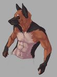  abs biceps black_nose canine dog grey_background male muscles pecs plain_background topless treats 