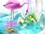  1girl bird donquixote_pirates eyes_closed flamingo green_hair harpy long_hair lying miyakotyo monet_(one_piece) monster_girl on_back one_piece partially_submerged punk_hazard water wings 