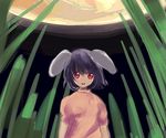  animal_ears bamboo bamboo_forest bunny_ears forest inaba_tewi moon nature noise_(hakusen) open_mouth red_eyes solo touhou 