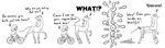  bicycle black_and_white equine female heavenly_nostrils helmet horn human invalid_tag mammal marigold monochrome phoebe sen-en size_difference stuck unbirthing unicorn vore 