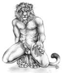  animal_genitalia anthro balls barbs biceps blotch claws crouching erection feline feline_penis fur gay hindpaw lion looking_at_viewer male mammal mane monochrome muscles nude paws pecs penis plain_background presenting solo spread_legs spreading tail_tuft tuft whiskers white_background 