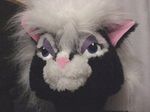  cosplay female fursuit james_m_hardiman mammal plushie real skunk 