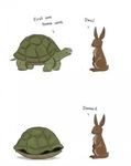  fun joke lagomorph rabbit text turtle 