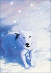  2018 ambiguous_gender black_nose canine detailed_background digital_media_(artwork) dog feral fur mammal oneminutesketch paws snow solo standing white_fur 