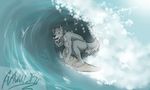  balls biceps canine claws fangs fur grey_fur looking_at_viewer male mammal muscles nude pose solo surfboard surfing toe_claws tongue water wave wolf 