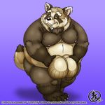  2013 balls big_balls blush chubby do_not_distribute hyper hyper_balls male namadon nipples overweight plain_background tanuki whiskers 