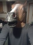  brown_eyes brown_hair buckd equine hair horse human looking_at_viewer mask open_mouth photo real teeth 
