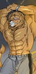  abs anthro biceps big_muscles blush brown_fur bulge clothing feline fur gay hair hentist lion male mammal muscles nipples pants pecs pose shishimaru_genjurou solo sweat toned topless 