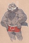  biceps black_nose blue_fur blush boxer_briefs boxerbriefs boxers bulge canine chest_tuft chubby clothing fangs fur grin hairy male mammal muscles nipples pecs pose red_eyes rome_(artist) shorts smile solo standing topless tuft underwear white_fur wolf yellow_eyes 