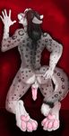  4_toes anthro anus back_turned balls butt digitigrade erection feline foot_focus from_behind hindpaw kneeling knot leopard looking_at_viewer looking_back male mammal nude pawpads paws penis pinup pose presenting snow_leopard soles solo toes yummyv1rus 