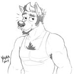  biceps body_hair canine chest_hair clothing ear_piercing elias facial_piercing greyscale hair looking_at_viewer male mammal monochrome muscles nose_piercing nose_ring piercing plain_background shirt smile solo tank_top white_background wolf wolfyama 
