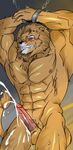  abs anthro balls biceps big_muscles big_penis blush bound brown_fur brown_hair chest_tuft clenched_teeth cum cum_on_balls cum_on_penis cum_string cumshot drooling erection eyes_closed fangs feline flexing fur gay hair hentist leaking lion male mammal messy muscles nipples nude orgasm pecs penis pose presenting saliva shishimaru_genjurou solo teeth toned tuft vein white_hair 