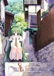  animal_ears blush caidychen cat cat_ears cat_tail chin_rest green_eyes green_hair hatsune_miku kneehighs long_hair panties pantyshot pantyshot_(sitting) scenery school_uniform sitting stairs stare striped striped_panties tail tail_bow underwear very_long_hair vocaloid 