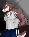  abs anthro biceps big_muscles black_nose blush bound brown_fur canine chain clothing coach collar frown fur gay hentist hideo_katashi hideo_katashi_(character) leash looking_at_viewer male mammal muscles pants pecs pose rope shirt solo standing tank_top toned vein white_fur wolf 