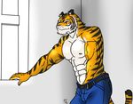  abs anthro balls belt biceps big_muscles black_fur body_markings canine clothing feline fur gay grope hand_in_pants hentist jeans male mammal markings masturbation muscles nipples orange_eyes orange_fur pecs penis pink_nose plain_background pose solo standing stripes tiger toned topless toragami_gaou vein whiskers white_background white_fur 