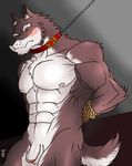  abs anthro balls biceps big_muscles black_nose blush bound brown_fur canine chain chest_tuft collar eyes_closed flaccid frown fur gay hentist hideo_katashi hideo_katashi_(character) leash looking_at_viewer male mammal muscles nipples nude one_eye_closed pecs penis pose rope solo standing toned tuft uncut vein white_fur wolf 