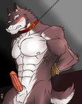  abs anthro balls biceps big_muscles black_nose blush bound brown_fur canine chain chest_tuft clenched_teeth collar erection eyes_closed fangs frown fur gay hentist hideo_katashi hideo_katashi_(character) humanoid_penis leash looking_at_viewer male mammal muscles nipples nude pecs penis pose presenting rope sheath solo standing teeth tuft vein white_fur wolf 