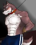  abs angry anthro biceps big_muscles black_nose blush bound brown_fur bulge canine chain chest_tuft clothing collar fangs frown fur gay hentist hideo_katashi hideo_katashi_(character) leash looking_at_viewer male mammal muscles nipples pants pecs pose rope solo standing teeth toned topless tuft vein white_fur wolf 
