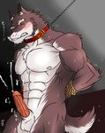  abs anthro balls biceps big_muscles black_nose blush bound brown_fur canine chain chest_tuft clenched_teeth collar cum cum_on_self cum_string cumshot erection eyes_closed fangs frown fur gay hands-free hentist hideo_katashi hideo_katashi_(character) leash looking_at_viewer male mammal muscles nipples nude orgasm pecs penis pose presenting rope sheath solo standing teeth toned tuft vein white_fur wolf 