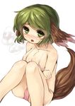  animal_ears bare_shoulders bikini blush breasts collarbone danbo_(rock_clime) green_eyes green_hair kasodani_kyouko knees_together_feet_apart large_breasts open_mouth short_hair simple_background solo swimsuit tail touhou white_background 