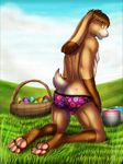  easter holidays lagomorph male mammal outside rabbit underwear 