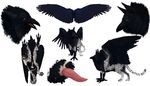  absurd_res balls barbs beak bird crow erection faunoiphilia feline feral grave_gryphon gryphon hi_res jaguar male mammal model_sheet nude paws penis plain_background raven solo talons tapering_penis tatchit white white_background white_jaguar wings 