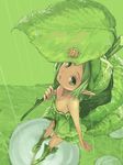 artist_request fairy from_above green_eyes green_hair leaf_umbrella lettuce looking_up minigirl original plant_girl pointy_ears puddle rain snail solo 