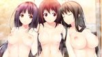  3girls bath black_hair blue_hair breast_envy breasts brown_hair cleavage game_cg himesato_isami hoshina_yuki karakouji_orie large_breasts long_hair lovesick_puppies navel nipples nude orange_eyes purple_hair red_eyes red_hair rozen5 topless yellow_eyes 