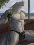  alcohol anthro balls bar beach beverage biceps blue_eyes bottle bulge chair dorsal_fin drink facial_piercing fangs fin fish flaccid front gothwolf great_white_shark grey_eyes grey_skin grin hook linkin_monroe male marine muscles nature nipples nose_piercing nose_ring open_mouth outside palm_tree pecs penis piercing pose sand sea seaside shark sitting smile solo speedo spread_legs spreading stool swimsuit tattoo teeth toned topless tree water 