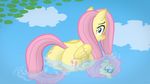  blush butt cloud clouds cutie_mark equine female feral fluttershy_(mlp) friendship_is_magic fur hair horse jepso lily_pad mammal my_little_pony pegasus pink_hair pony reflection solo water wings yellow_fur 