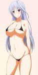  bad_id bad_pixiv_id bikini blush breasts large_breasts long_hair lyrical_nanoha mahou_shoujo_lyrical_nanoha mahou_shoujo_lyrical_nanoha_a's micro_bikini red_eyes reinforce silver_hair single_hair_intake skindentation solo swimsuit yokoyama_kouji 