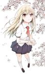  :o ahoge blonde_hair cherry_blossoms cupping_hands flower highres kneehighs kusano_houki loafers long_hair looking_at_viewer necktie orange_eyes petals pigeon-toed pleated_skirt sakura-sou_no_pet_na_kanojo school_uniform shiina_mashiro shoes skirt solo white_legwear 