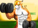  anthro bardofox biceps big blonde_hair bodybuilder bodybuilding canine clenched_teeth cute fangs flexing fox fur green_eyes hair hot invalid_tag male mammal muscles nipples nude orange_fur pecs pose solo standing teeth toned weight weightlifting weights white_fur 